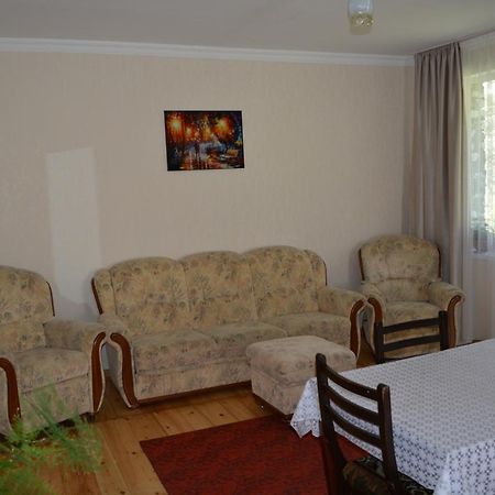 Ekaterine Guest House 카즈베기 외부 사진