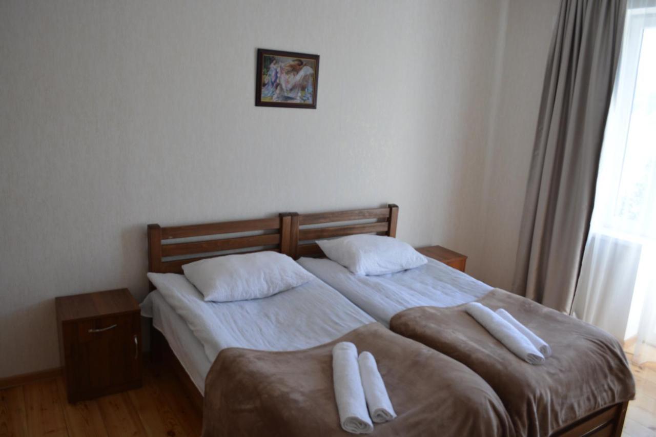 Ekaterine Guest House 카즈베기 외부 사진