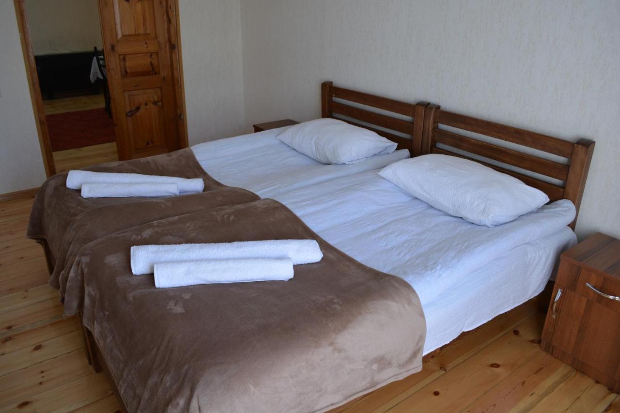 Ekaterine Guest House 카즈베기 외부 사진