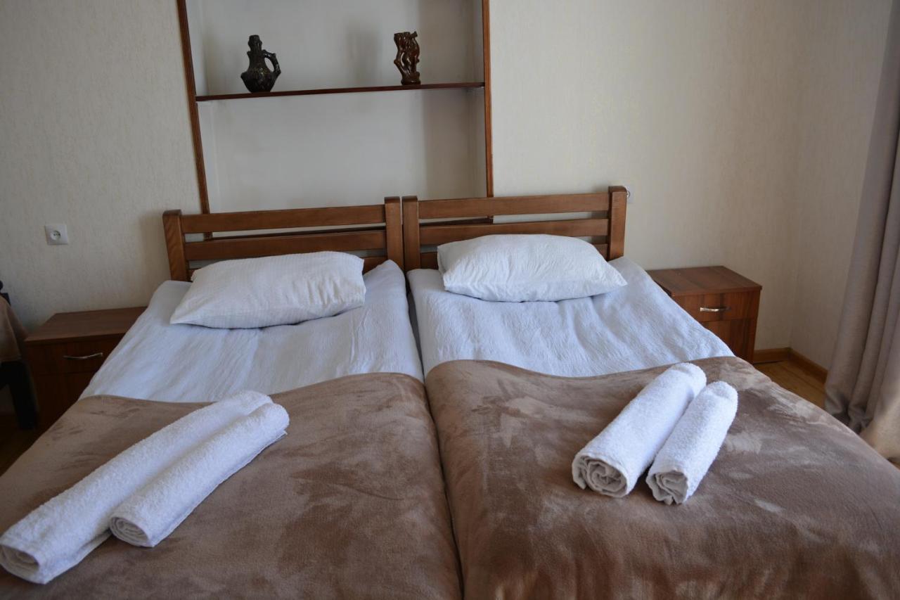 Ekaterine Guest House 카즈베기 외부 사진